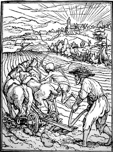 Le Laboureur (Hans Holbein le Jeune)