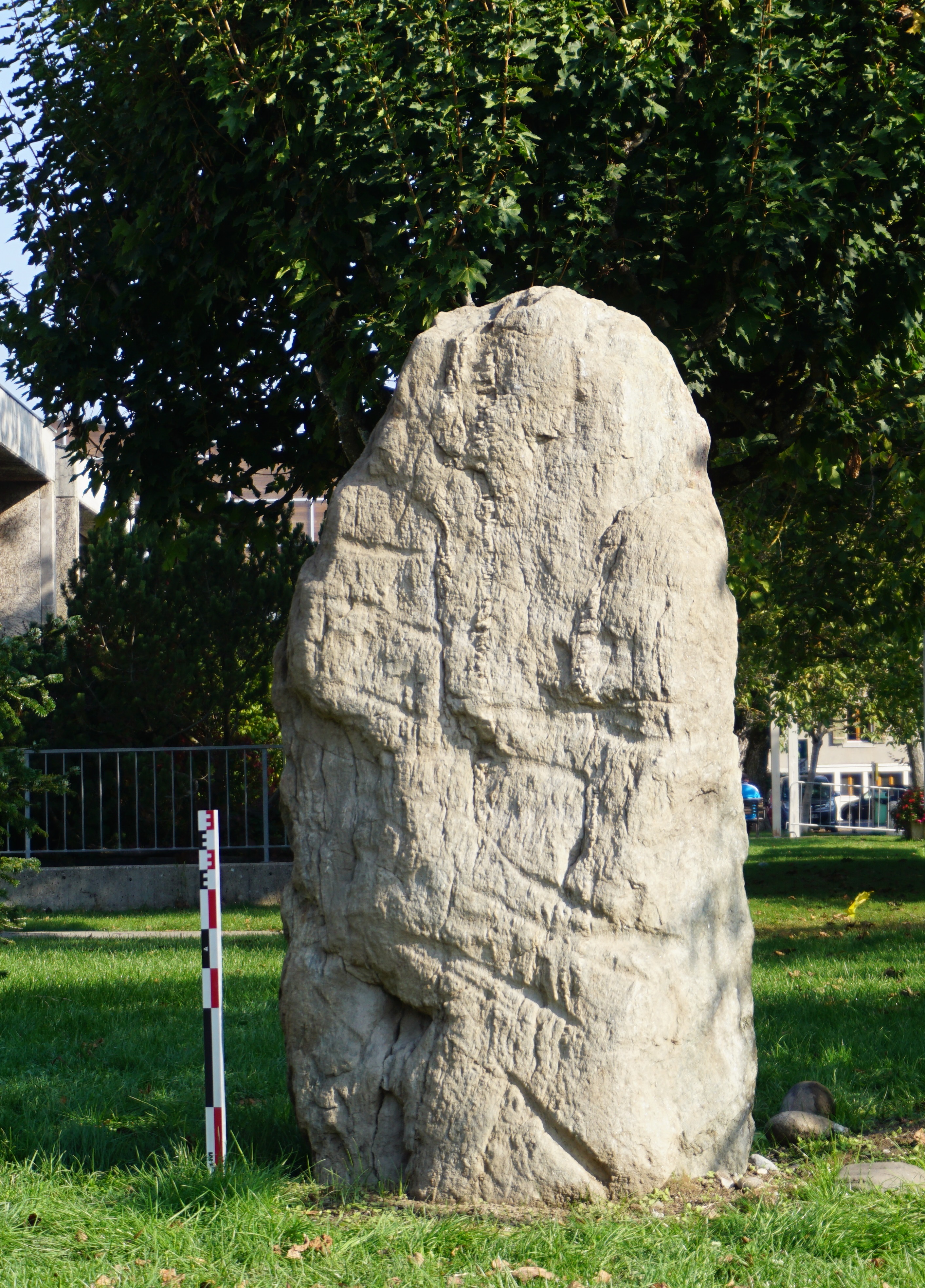 CONFÉRENCE DE LA SHAG, JEUDI 20 FÉVRIER 2025