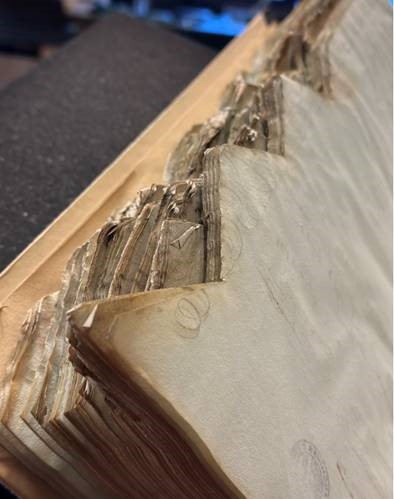 #6 Lettre d’information Hôtel des Archives